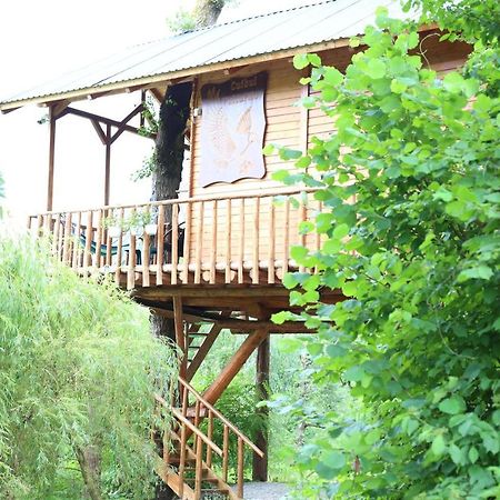 Villa Cuibul Vulturilor - Casuta In Copac à Moisei Extérieur photo