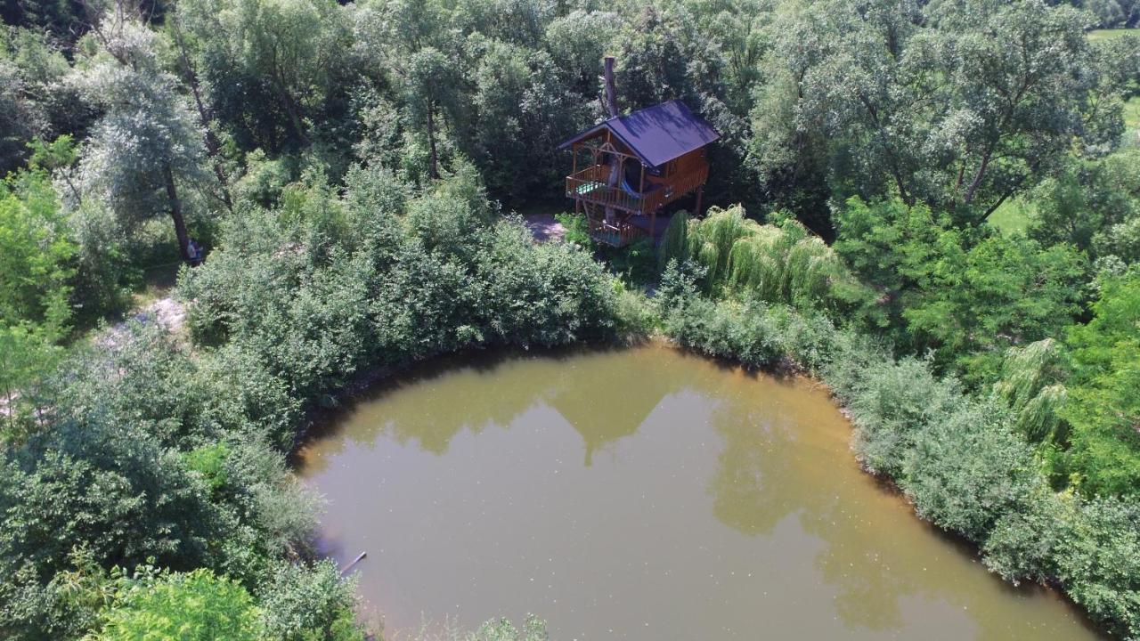 Villa Cuibul Vulturilor - Casuta In Copac à Moisei Extérieur photo