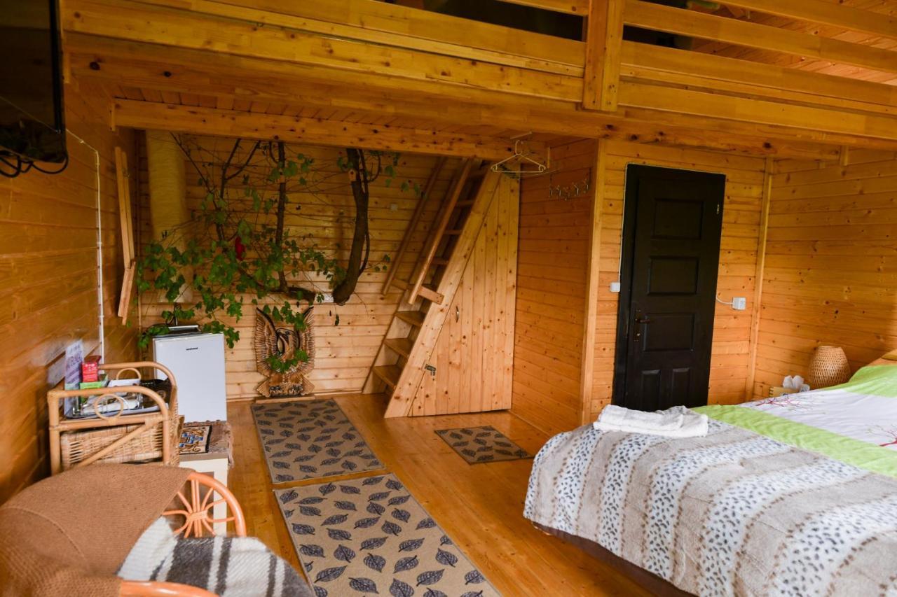 Villa Cuibul Vulturilor - Casuta In Copac à Moisei Extérieur photo