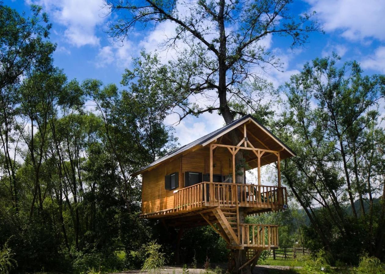 Villa Cuibul Vulturilor - Casuta In Copac à Moisei Extérieur photo
